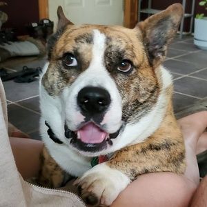 Meet your Posher, Nathan